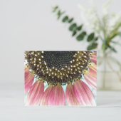 Rosa Sonnenblume Postkarte (Stehend Vorderseite)