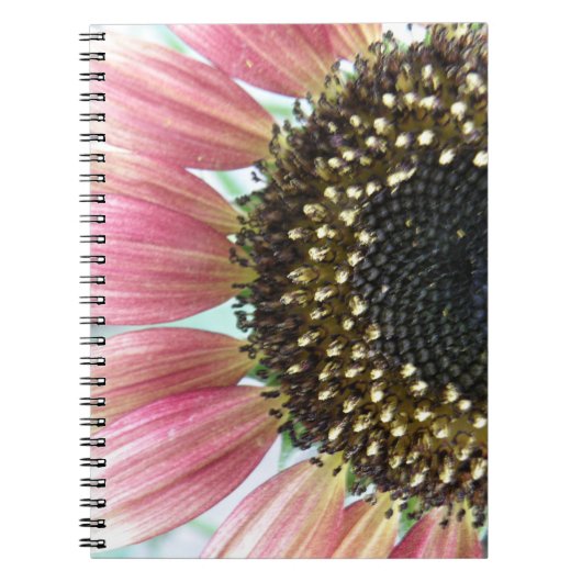 Rosa Sonnenblumen-Notebook Notizblock (Vorderseite)