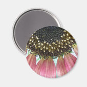 Rosa Sonnenblumenmagnet Magnet (Vorderseite/Rückseite)