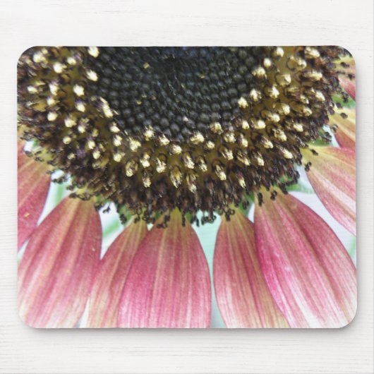 Rosa Sonnenblumenmousepad Mousepad (Vorne)