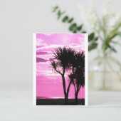 Rosa Sonnenuntergang Postkarte (Stehend Vorderseite)