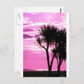 Rosa Sonnenuntergang Postkarte (Vorne/Hinten)