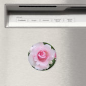 Rosa‘Soshun’:Round Magnet (In Situ (Geschirrspüler))