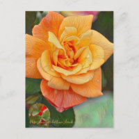 Rosa Souvenir de Anne Frank [Postcard]