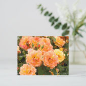 Rosa Souvenir de Anne Frank: Postcard Postkarte (Stehend Vorderseite)