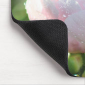 Rosa Spätfrühling-Pfingstrose Mousepad (Ecke)