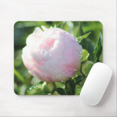 Rosa Spätfrühling-Pfingstrose Mousepad (Mit Mouse)