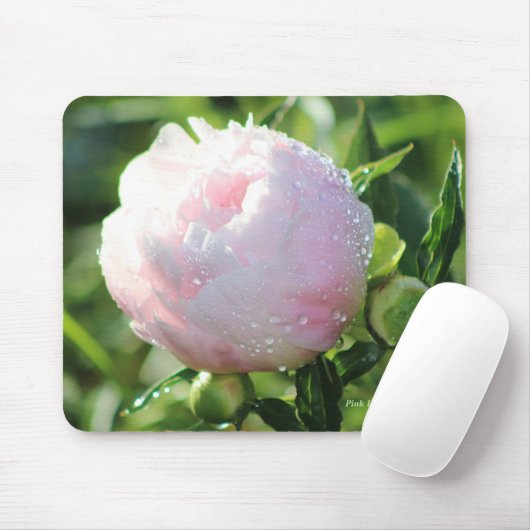 Rosa Spätfrühling-Pfingstrose Mousepad (Mit Mouse)