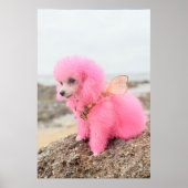 ROSA SPIELZEUG-PUDDEL AM STRAND POSTER (Vorne)