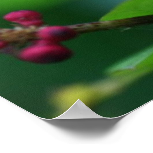 Rosa Spikes Poster (Ecke)