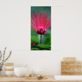 Rosa Spikes Poster (Küche)