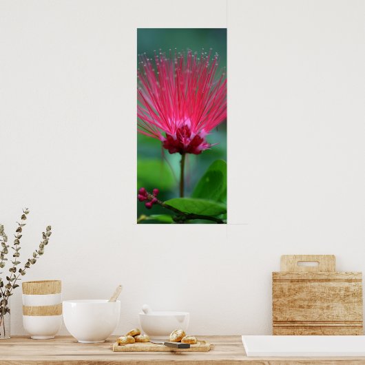 Rosa Spikes Poster (Küche)