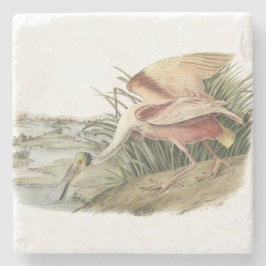 Rosa Spoonbill durch Audubon Steinuntersetzer