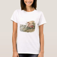 Rosa Spoonbill durch Audubon