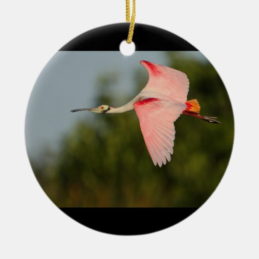 Rosa Spoonbill im Flug Keramik Ornament (Vorne)