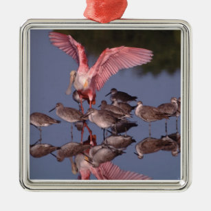 Rosa Spoonbill mit Willets im seichten Wasser Ornament Aus Metall