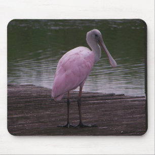 Rosa Spoonbill Mousepad