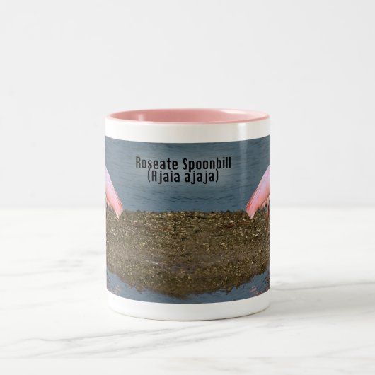 Rosa Spoonbill-Reflexionen Zweifarbige Tasse (Mittel)