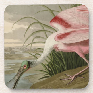 Rosa Spoonbill Untersetzer