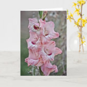 Rosa Stalk Gladiolus Blume Karte (Gelbe Blume)