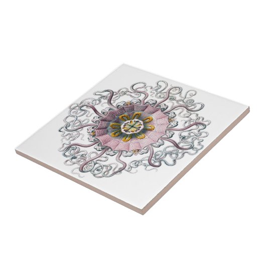 Rosa Starfish Fliese (Seite)