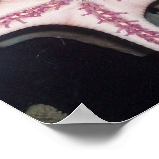 Rosa Starfish Poster (Ecke)