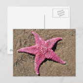 Rosa Starfish Postkarte (Vorne/Hinten)
