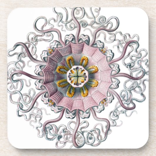Rosa Starfish Untersetzer (Vorderseite)