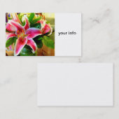 rosa Stargazer Lilienkarte Visitenkarte (Vorne/Hinten)