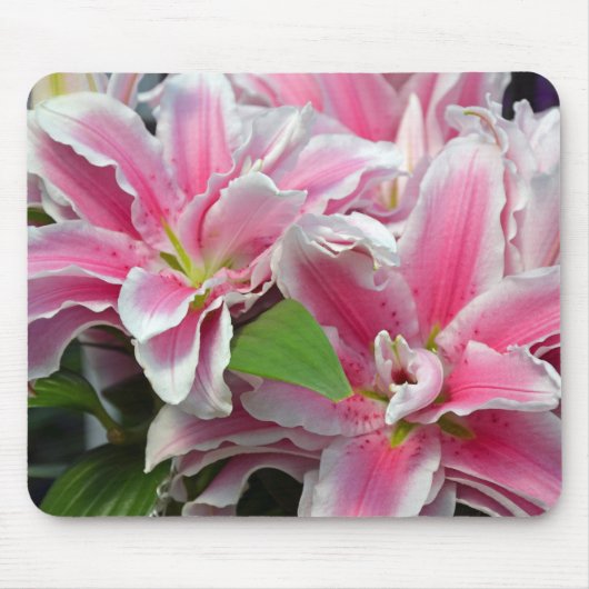 Rosa Stargazerlilien-Blumen mousepad (Vorne)