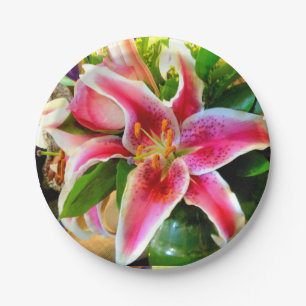 rosa Sternen-Lilie Thunder_Cove Pappteller