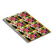 Rosa Sterngazer Lilie Notebook Notizblock (Rechte Seite)