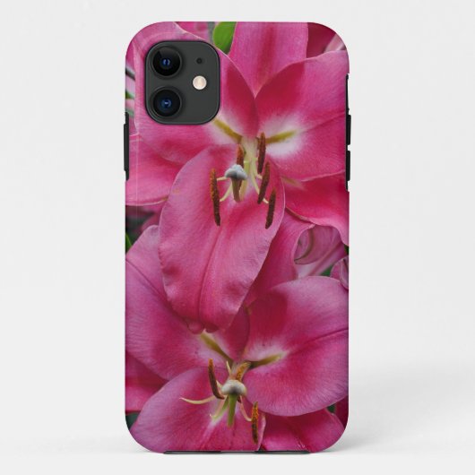 Rosa Sterngazerlilie Case-Mate iPhone Hülle (Rückseite)
