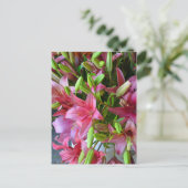 Rosa Sterngazerlilie Postkarte (Stehend Vorderseite)