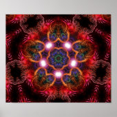 rosa SternLeuchten-Poster Poster (Vorne)