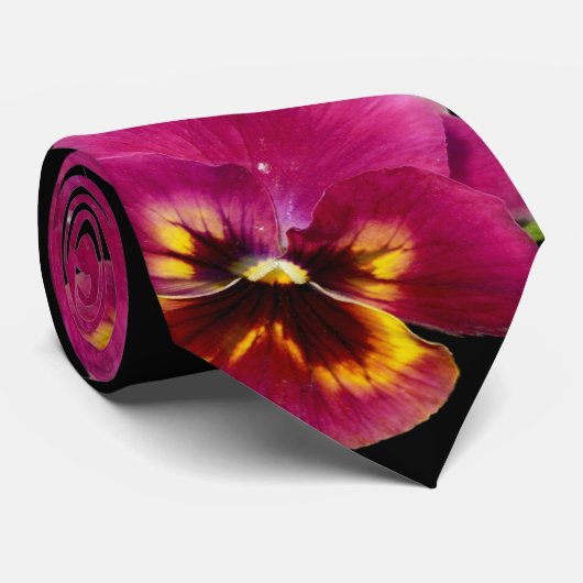 Rosa Stiefmütterchen Leidenschaft, Krawatte (Gerollt)