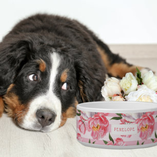 Rosa Streifen und Peony Floral   Monogramm Bowl Napf