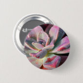 Rosa Succulent Button (Vorne & Hinten)