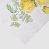 Rosa Sulfurea Seidenpapier (Ausschnitt)