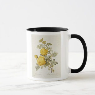 Rosa Sulfurea von 'Les Rosen Tasse