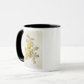 Rosa Sulfurea von 'Les Rosen Tasse (Vorderseite Links)