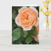 Rosa Sunset Memory:Greeting card Karte (Gelbe Blume)