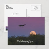 Rosa-Supermoon-Adler Postkarte (Vorne/Hinten)