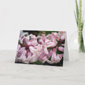 Rosa süß riechend duftender Hyacinth Karte (Vorderseite)