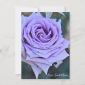 Rosa Sweet Moon: Flat Card (Vorderseite)