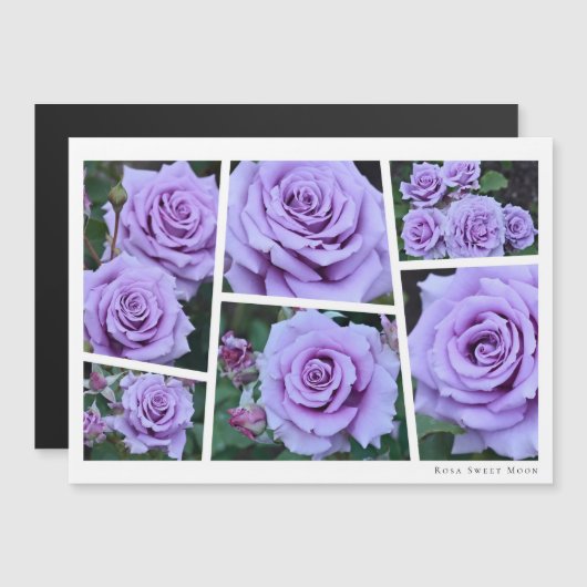Rosa Sweet Moon Magnetkarte (Vorne/Hinten)