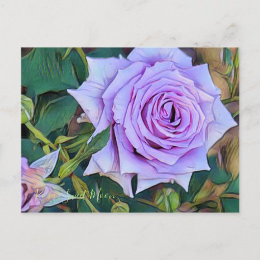 Rosa Sweet Moon [Postcard] Postkarte (Vorderseite)
