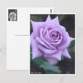 Rosa Sweet Moon Postkarte (Vorne/Hinten)