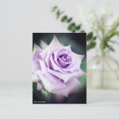 Rosa Sweet Moon Postkarte (Stehend Vorderseite)