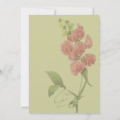 Rosa Sweet Pea Blume Party Einladung (Rückseite)